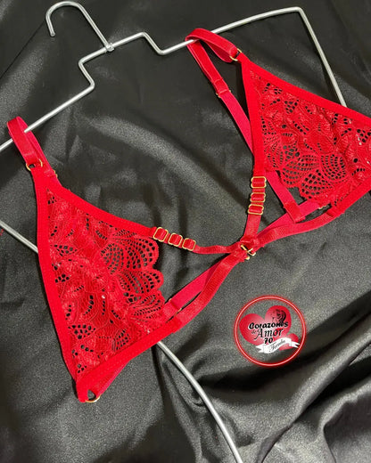 Conjunto de lenceria c11