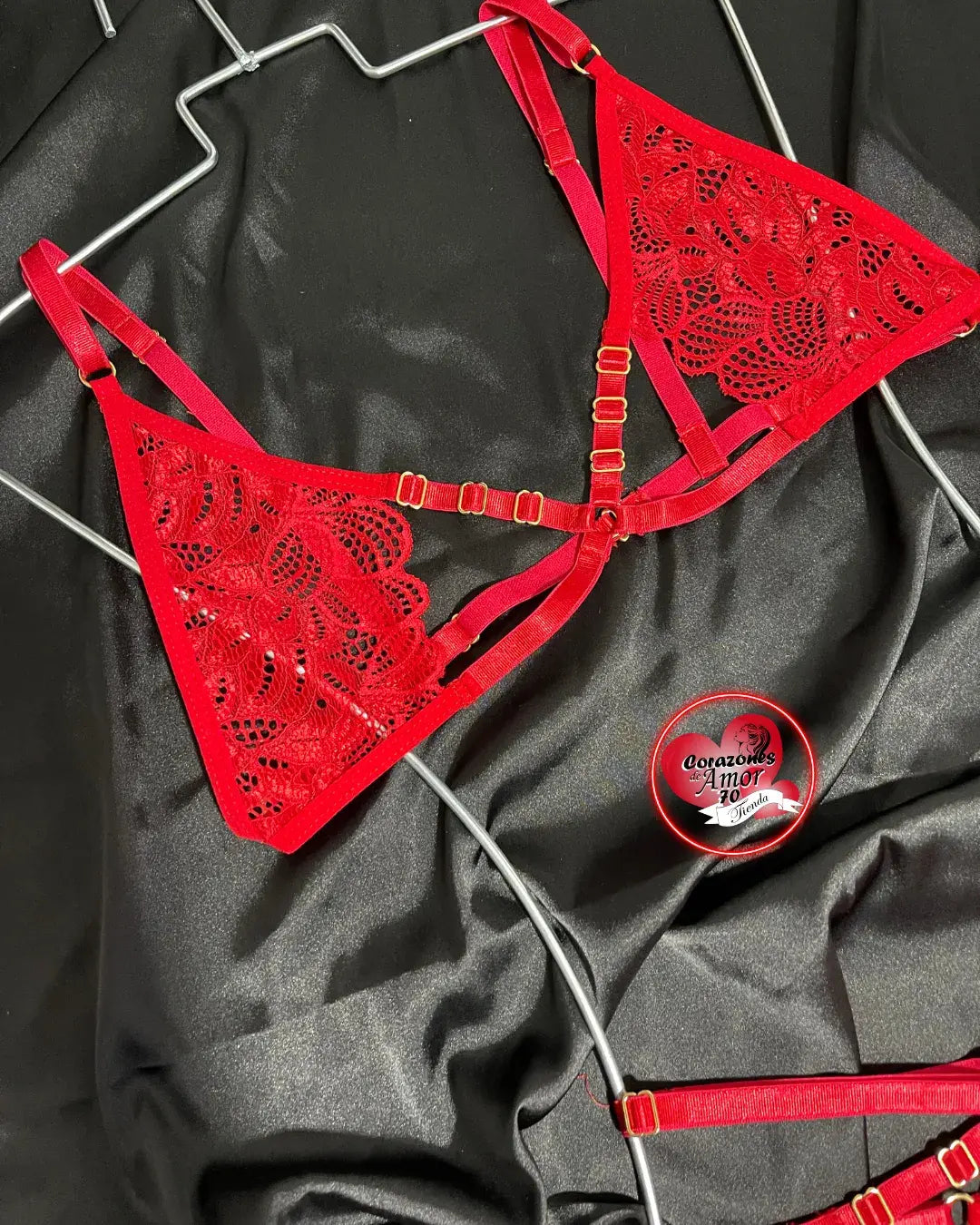 Conjunto de lenceria c11